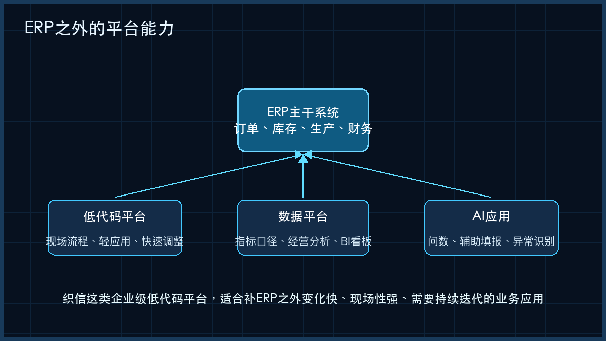 图5:ERP之外的平台能力