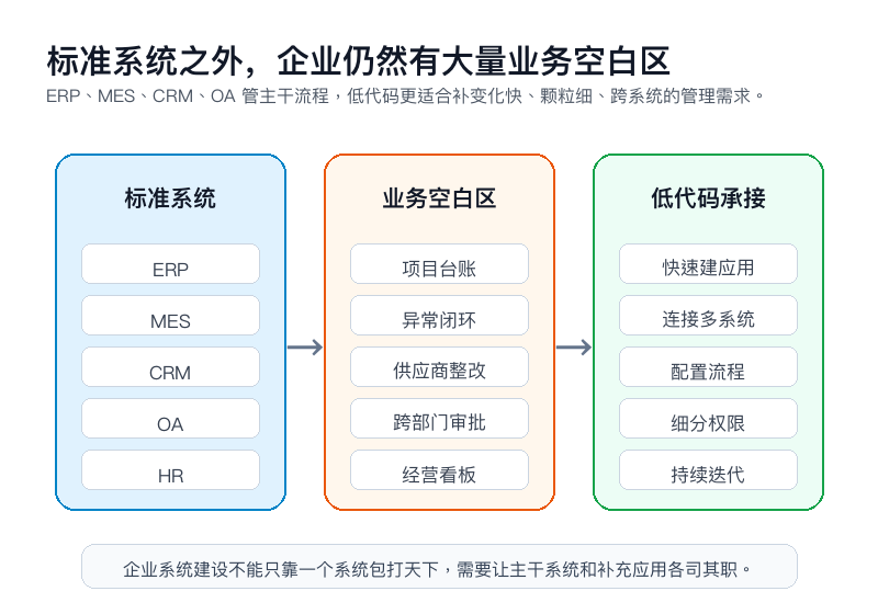 图2:标准系统之外的业务空白区